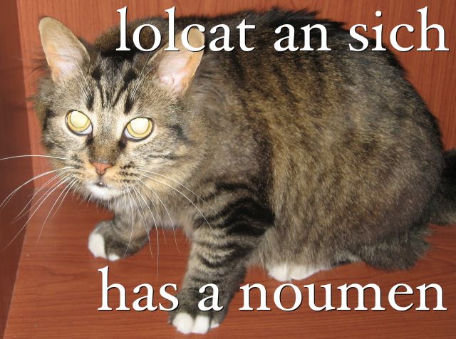 lolcat an sich has a noumen